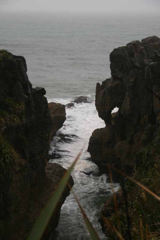 Nieuw-Zeeland 2011 - 1312